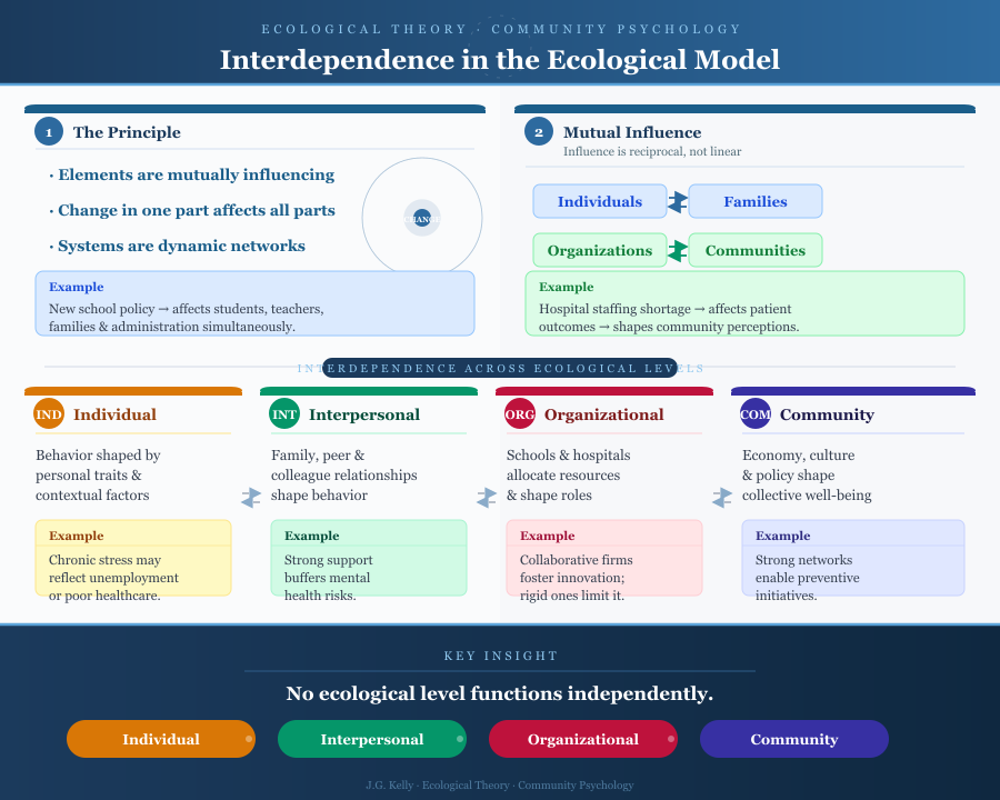 Interdependence in Ecological Theory