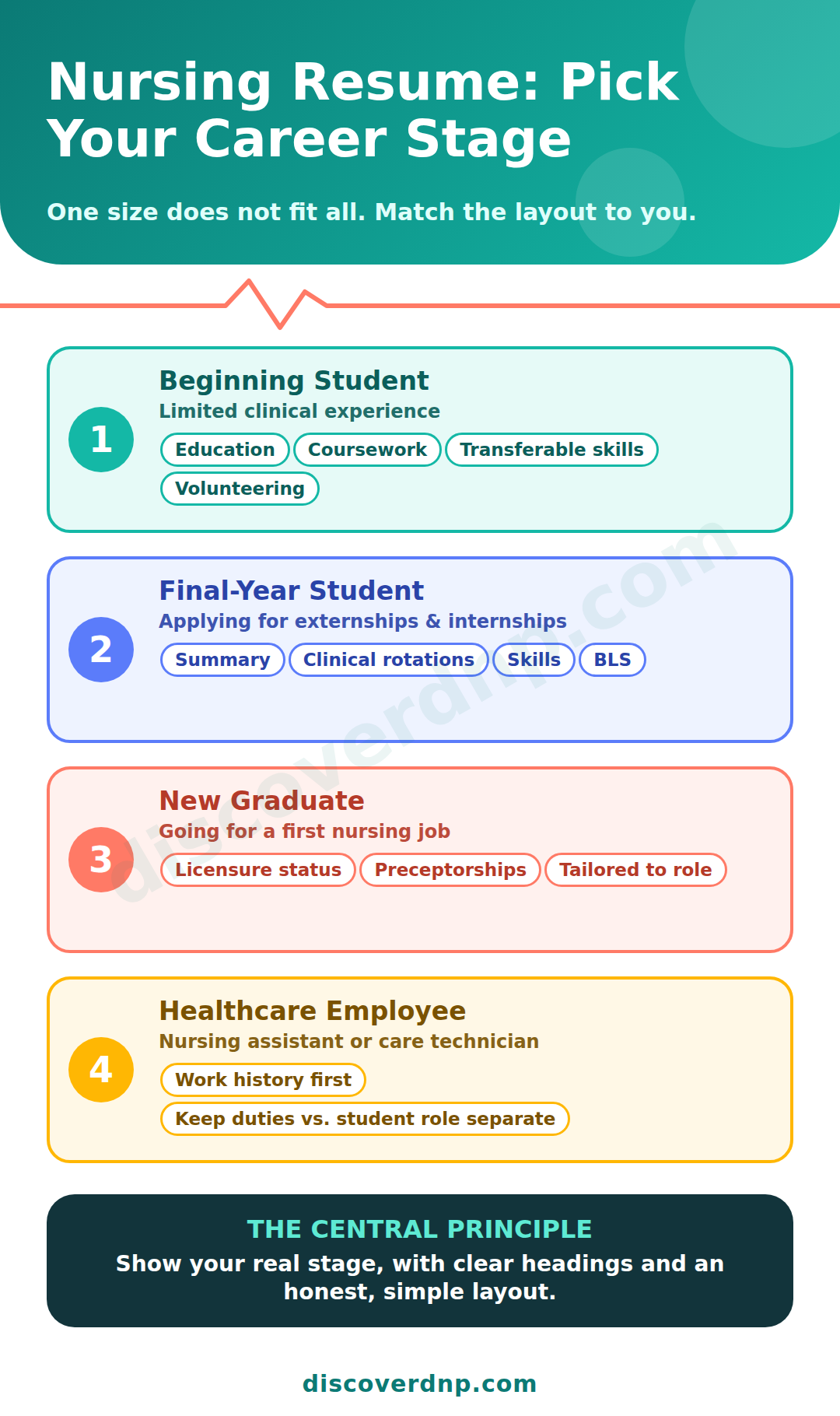Nursing Student Resume